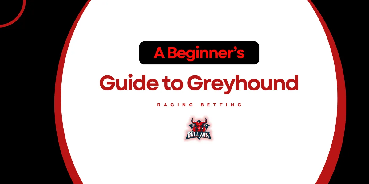 a beginner guide to greyhound racing betting