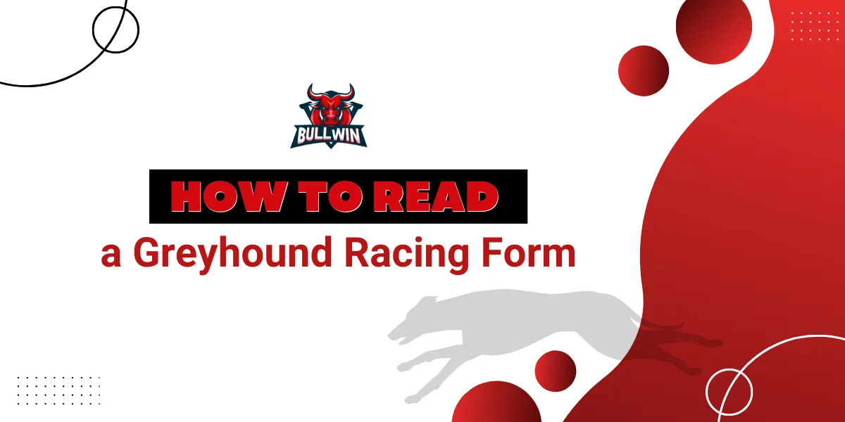 how to read a greyhound racing form