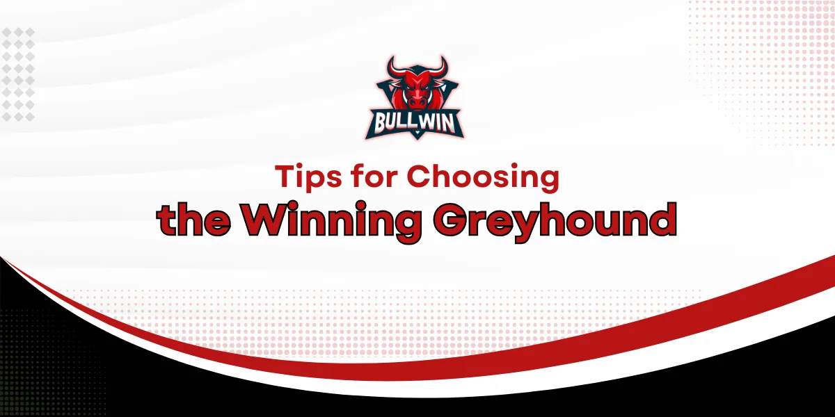 tips for choosing the winning greyhound