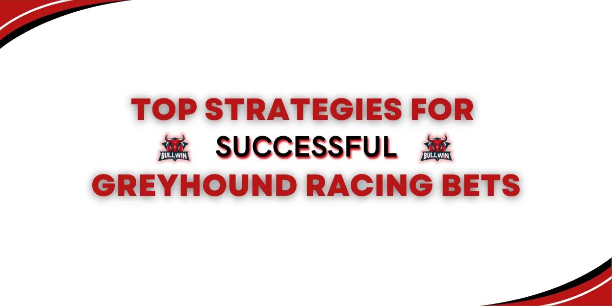 top strategies for successful greyhound racing bets