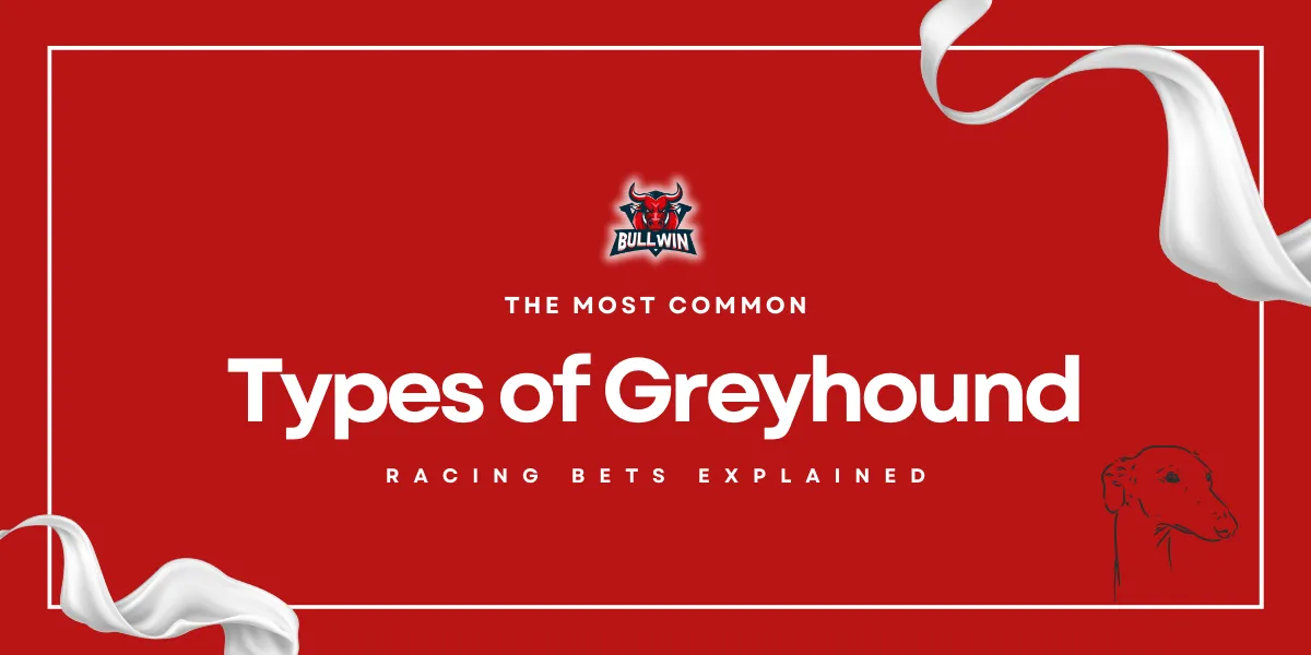 types of greyhound racing bets explained