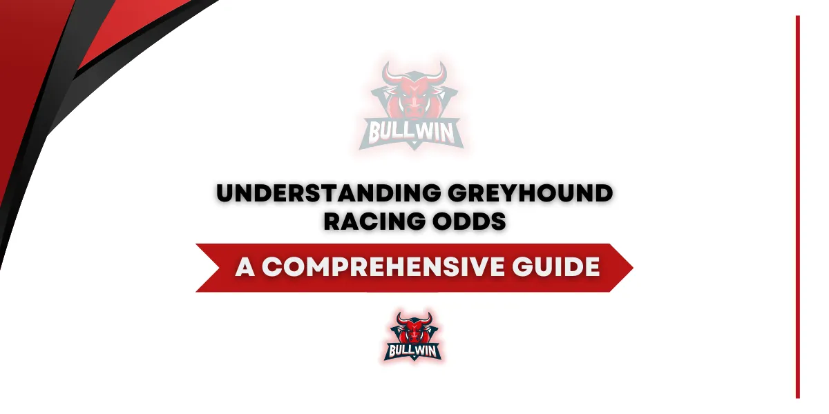 understanding greyhound racing odds a comprehensive guide